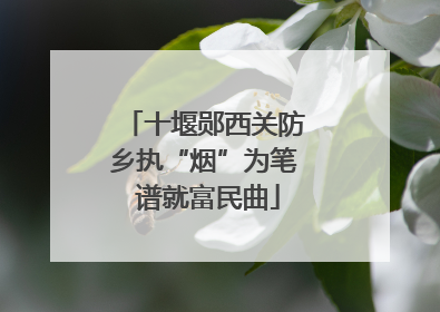 十堰郧西关防乡执“烟”为笔 谱就富民曲