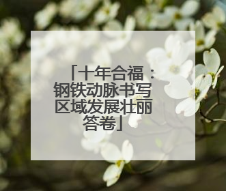 十年合福：钢铁动脉书写区域发展壮丽答卷