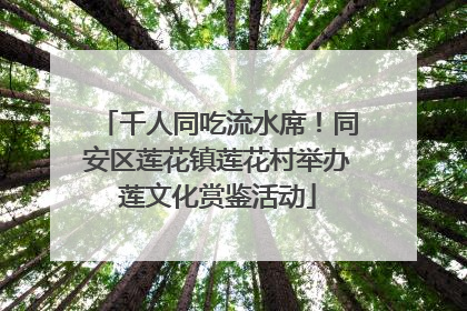 千人同吃流水席！同安区莲花镇莲花村举办莲文化赏鉴活动