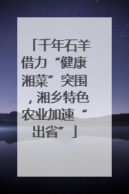 千年石羊借力“健康湘菜”突围，湘乡特色农业加速“出省”