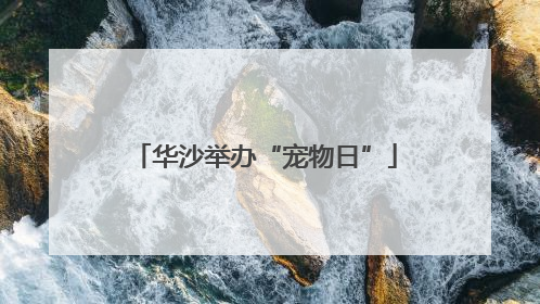 华沙举办“宠物日”