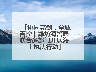 协同亮剑，全域管控丨潍坊海警局联合多部门开展海上执法行动