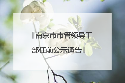 南京市市管领导干部任前公示通告