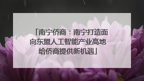 南宁侨商：南宁打造面向东盟人工智能产业高地给侨商提供新机遇