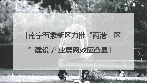 南宁五象新区力推“两港一区”建设 产业集聚效应凸显