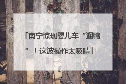 南宁惊现婴儿车“遛鸭”！这波操作太吸睛
