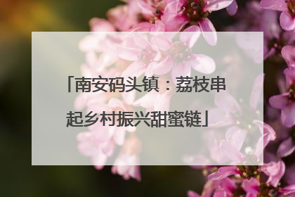 南安码头镇：荔枝串起乡村振兴甜蜜链