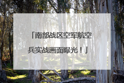 南部战区空军航空兵实战画面曝光！