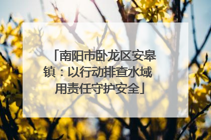 南阳市卧龙区安皋镇：以行动排查水域 用责任守护安全
