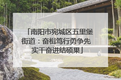 南阳市宛城区五里堡街道：奋楫笃行勇争先 实干奋进结硕果