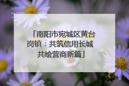 南阳市宛城区黄台岗镇：共筑信用长城 共绘营商新篇