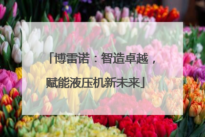 博雷诺：智造卓越，赋能液压机新未来
