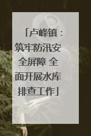 卢峰镇：筑牢防汛安全屏障 全面开展水库排查工作