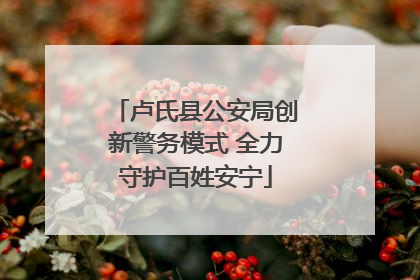 卢氏县公安局创新警务模式 全力守护百姓安宁