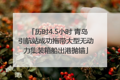 历时4.5小时 青岛引航站成功拖带大型无动力集装箱船出港抛锚