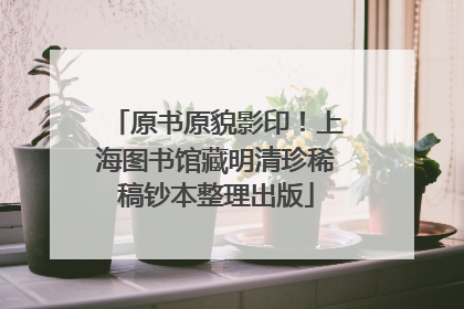 原书原貌影印！上海图书馆藏明清珍稀稿钞本整理出版