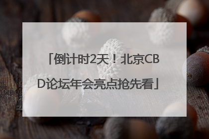 倒计时2天！北京CBD论坛年会亮点抢先看