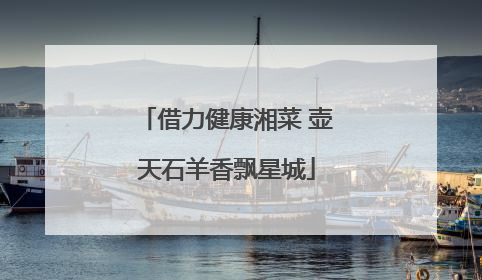 借力健康湘菜 壶天石羊香飘星城