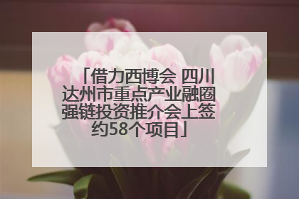 借力西博会 四川达州市重点产业融圈强链投资推介会上签约58个项目
