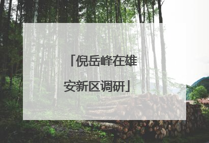 倪岳峰在雄安新区调研