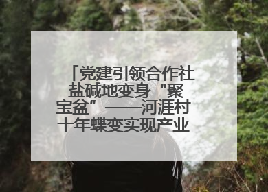 党建引领合作社 盐碱地变身“聚宝盆”——河涯村十年蝶变实现产业兴村群众富