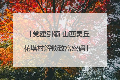党建引领 山西灵丘花塔村解锁致富密码