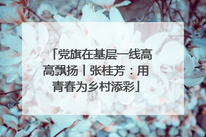 党旗在基层一线高高飘扬丨张桂芳：用青春为乡村添彩