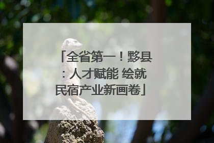 全省第一！黟县：人才赋能 绘就民宿产业新画卷
