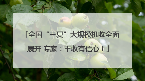 全国“三夏”大规模机收全面展开 专家：丰收有信心！