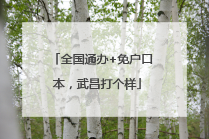 全国通办+免户口本，武昌打个样