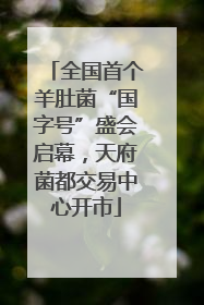 全国首个羊肚菌“国字号”盛会启幕，天府菌都交易中心开市