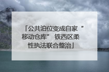 公共泊位变成自家“移动仓库” 铁西区柔性执法联合整治