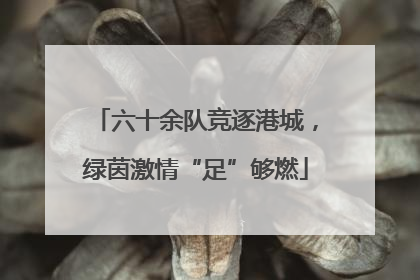 六十余队竞逐港城，绿茵激情“足”够燃