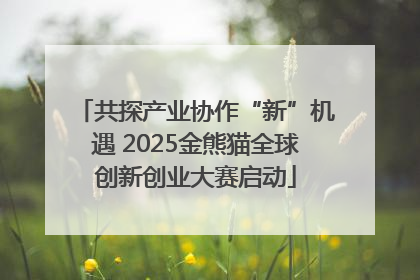 共探产业协作“新”机遇 2025金熊猫全球创新创业大赛启动