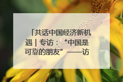 共话中国经济新机遇｜专访：“中国是可靠的朋友”——访马来西亚种植及原产业部副部长陈泓缣