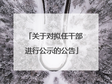 关于对拟任干部进行公示的公告