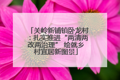关岭新铺镇卧龙村：扎实推进“两清两改两治理” 绘就乡村宜居新图景