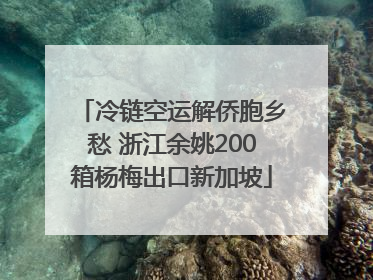 冷链空运解侨胞乡愁 浙江余姚200箱杨梅出口新加坡