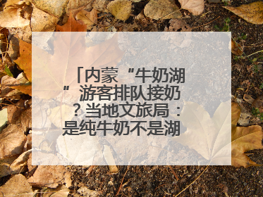 内蒙“牛奶湖”游客排队接奶？当地文旅局：是纯牛奶不是湖水，可放心喝