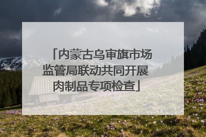 内蒙古乌审旗市场监管局联动共同开展肉制品专项检查