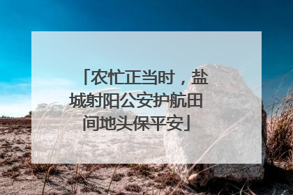 农忙正当时，盐城射阳公安护航田间地头保平安