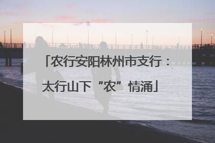 农行安阳林州市支行：太行山下“农”情涌