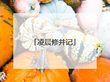 凌晨修井记