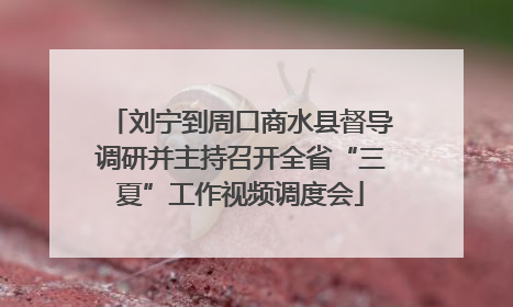 刘宁到周口商水县督导调研并主持召开全省“三夏”工作视频调度会