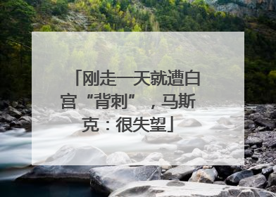 刚走一天就遭白宫“背刺”，马斯克：很失望
