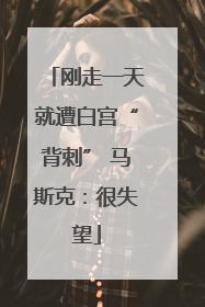 刚走一天就遭白宫“背刺” 马斯克：很失望