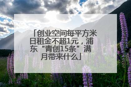 创业空间每平方米日租金不超1元，浦东“青创15条”满月带来什么