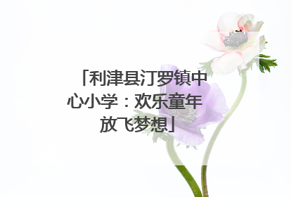 利津县汀罗镇中心小学：欢乐童年 放飞梦想