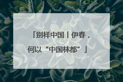 别样中国丨伊春，何以“中国林都”