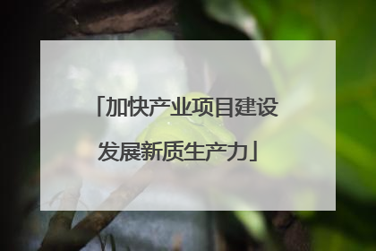 加快产业项目建设 发展新质生产力